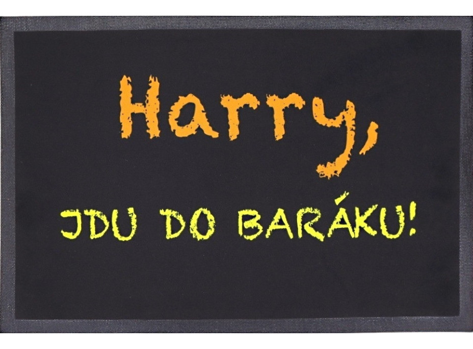 Rohožka Harry, jdu do baráku 40x60 cm